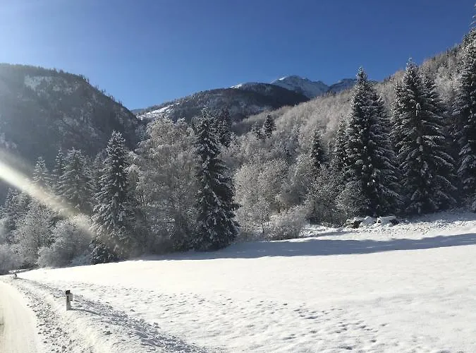 Apartament Haus Greet