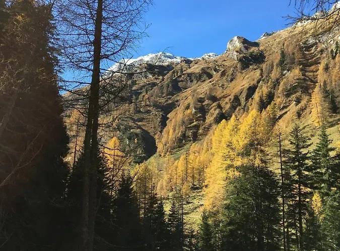 Haus Greet Apartament *